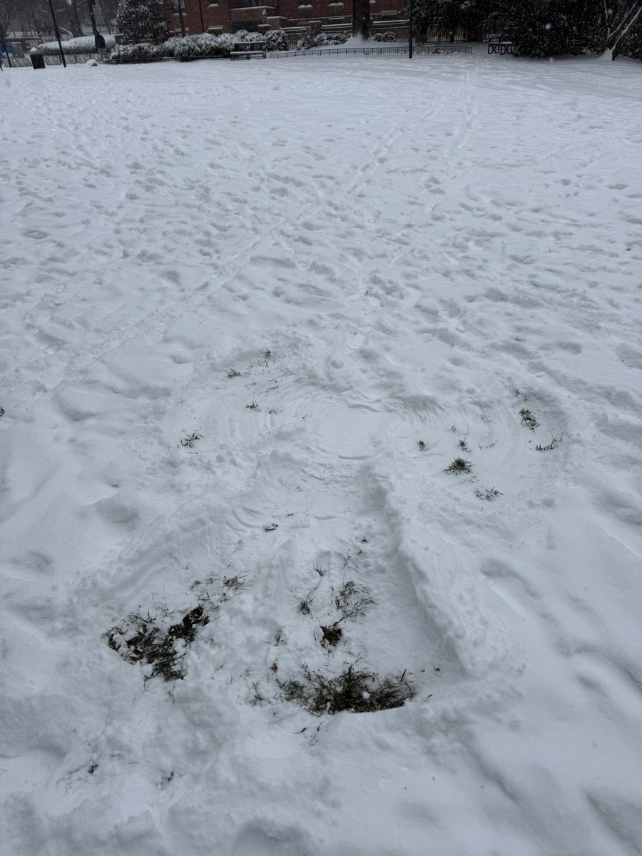 Gerald Mengel tweet media