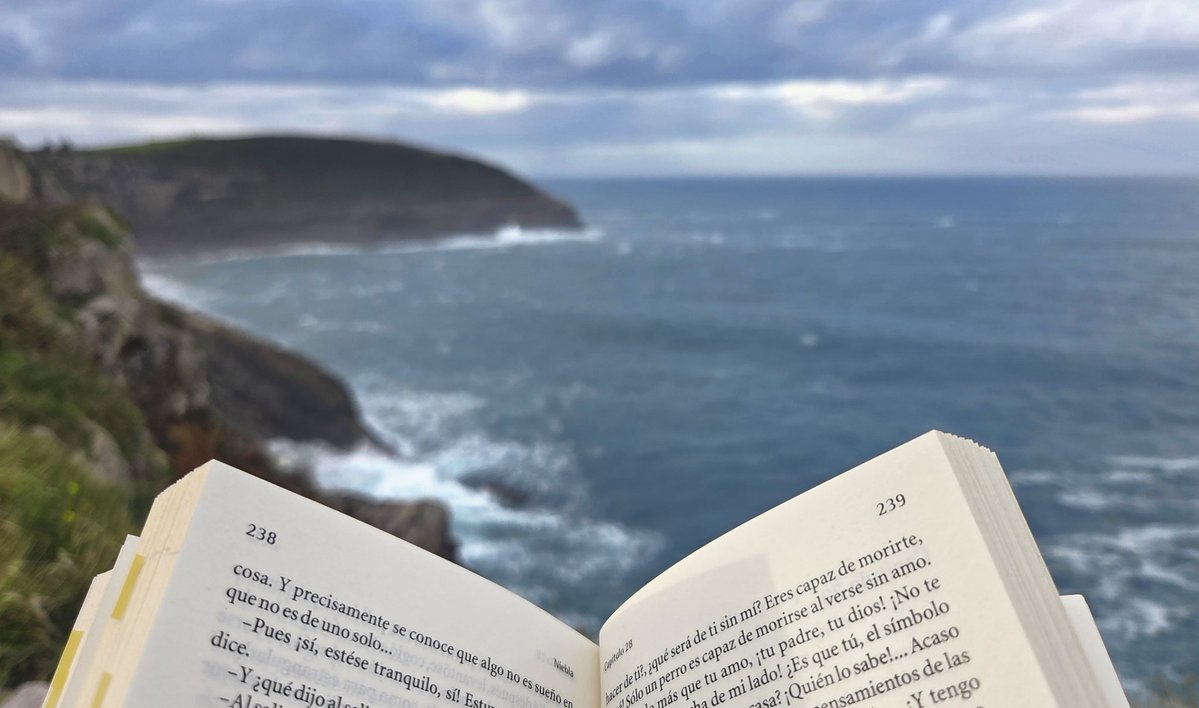 A veces no hace falta más que un libro y mar.