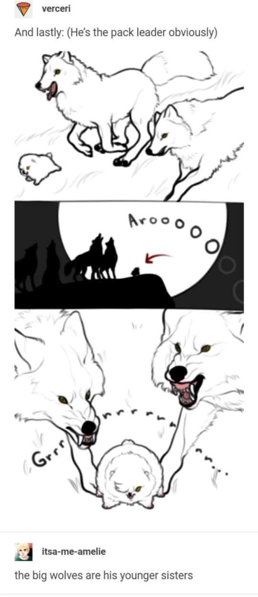 Pink Cinamon tweet media