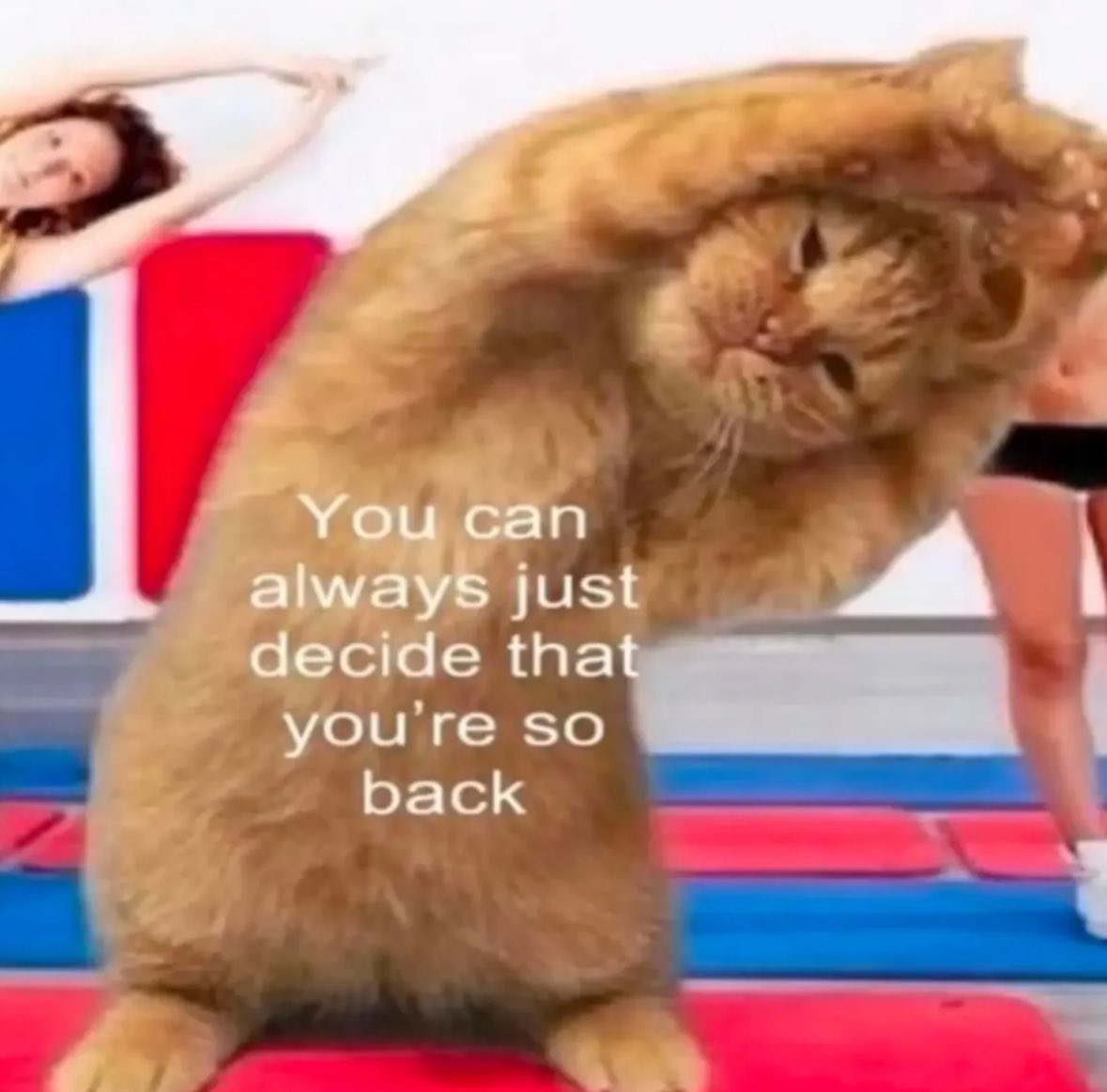 northstardoll's tweet image. 