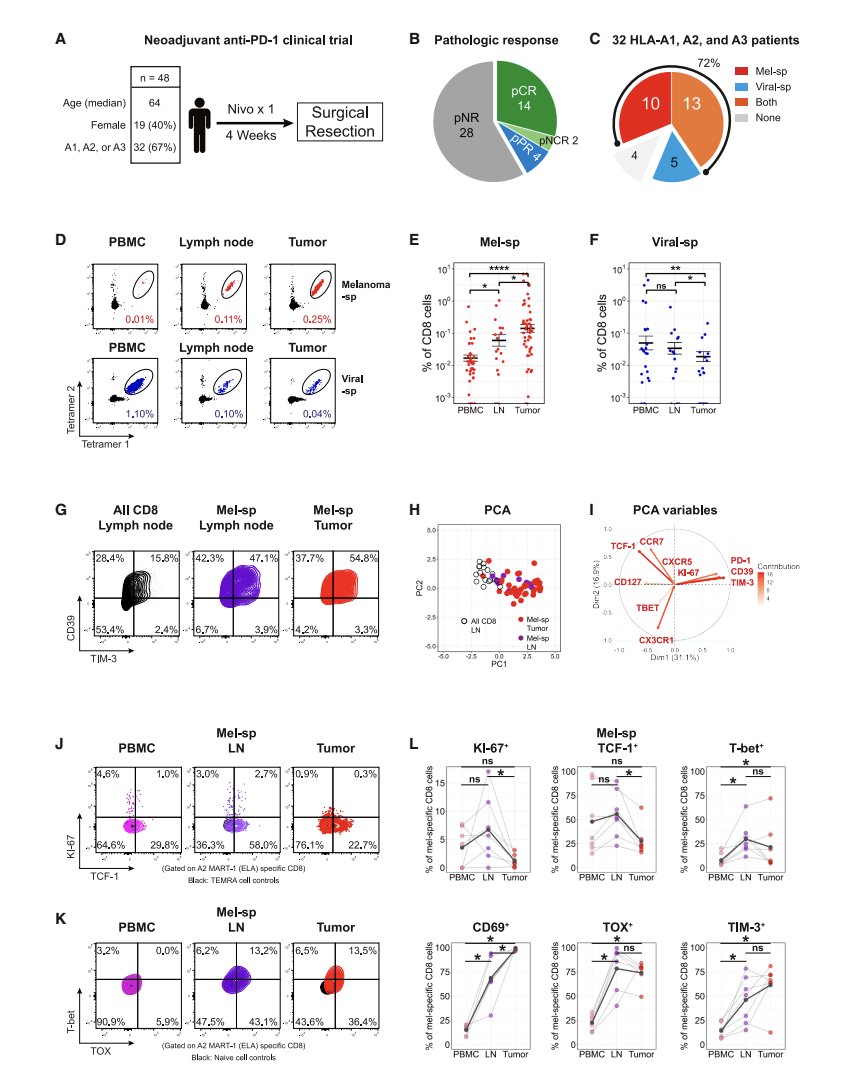 Dr. Patrick Hwu tweet media