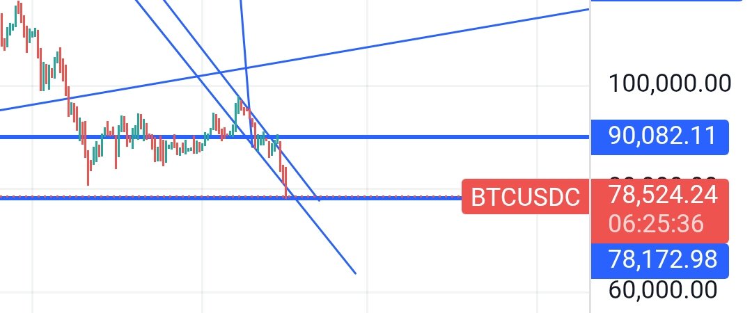 nomen's land tweet media
