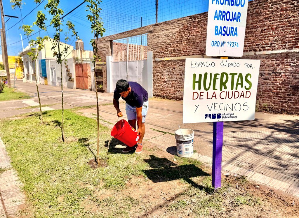 No importa el día, hora, ni el calor☀️.

Los espacios que recuperamos juntos siguen creciendo y siendo atendidos, gracias a los vecinos y al gran equipo de #HuertasDeLaCiudad 🌱 del <a href="/MunicipioBahia/">Municipio Bahía Blanca</a>.

📅 Sábado 31/1 | ⏱️ 14.30 hs🙌