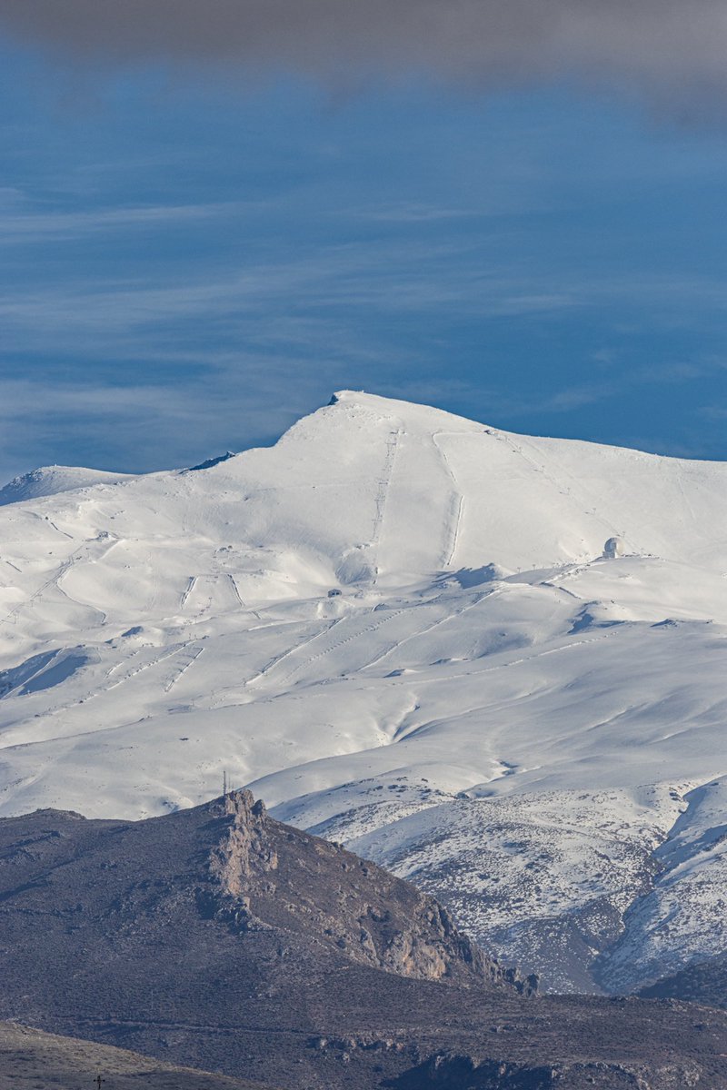 张炜磊 tweet media