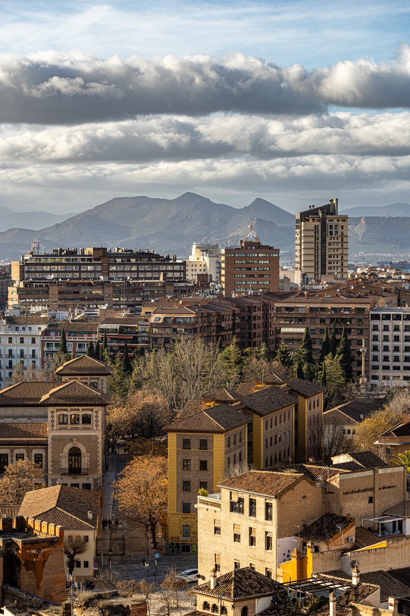 张炜磊 tweet media