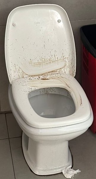 Encontré un Pollock de caca auténtico en Brasil, no pude llevarlo.