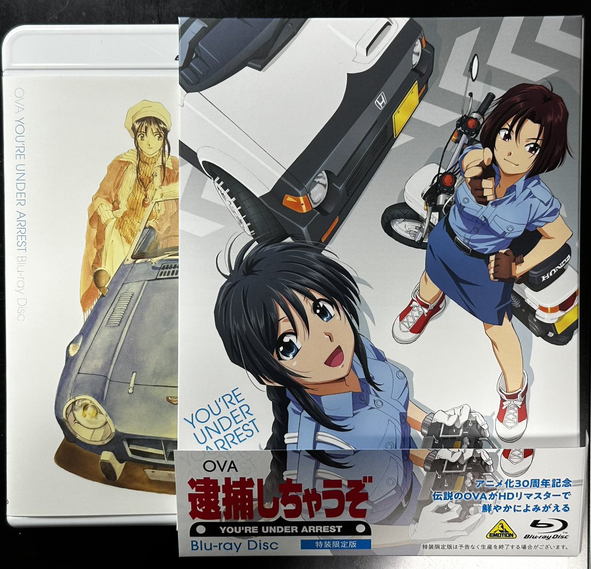 ようし、逮捕しちゃうぞを観て気合いを入れるぞ