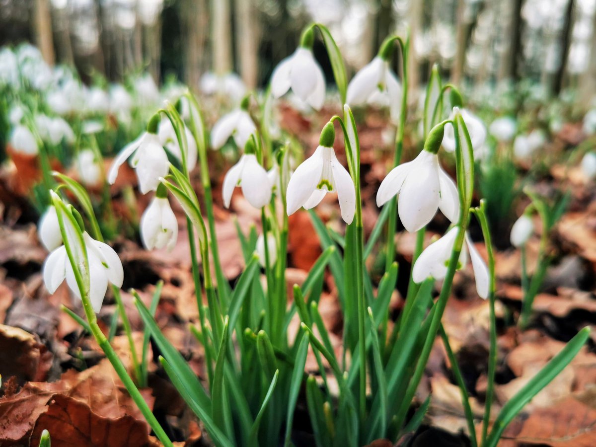 💗🌟🌺PammyR 🌺🌟💗 tweet media