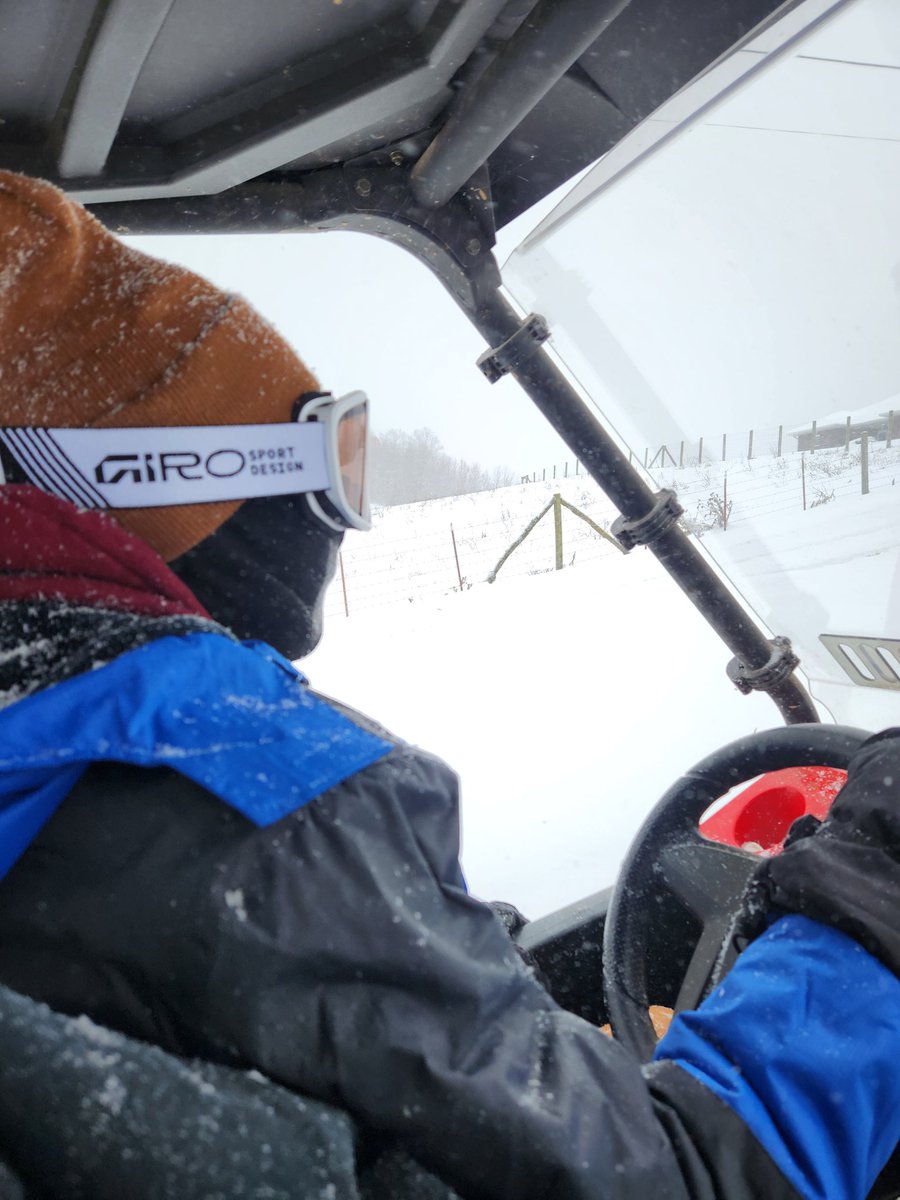 wes wright tweet media