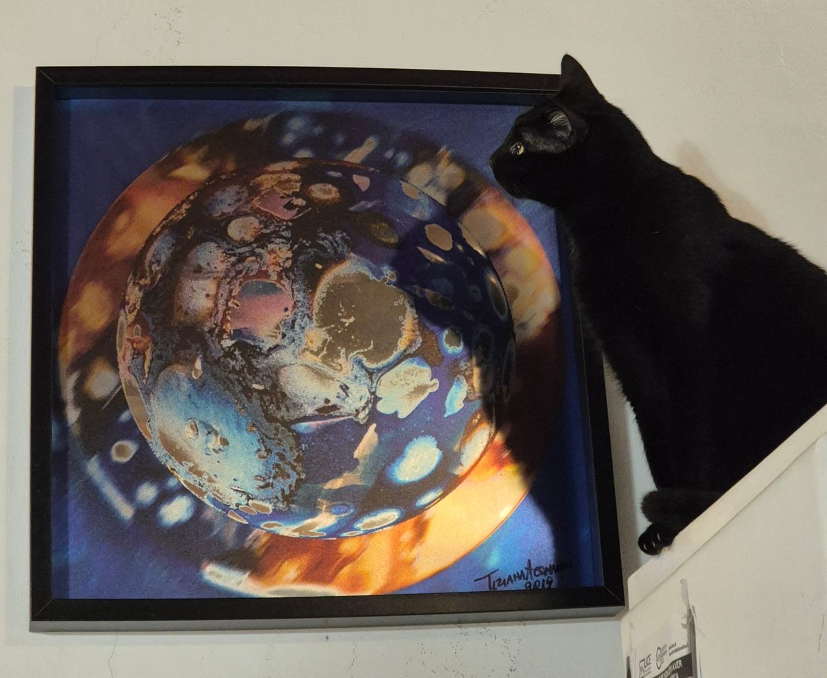 Merlino interessato al quadro