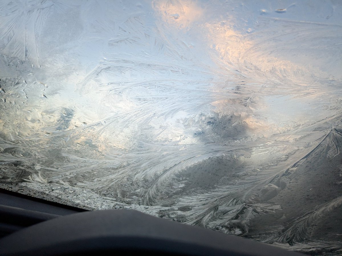 Jenna Maldonado tweet media