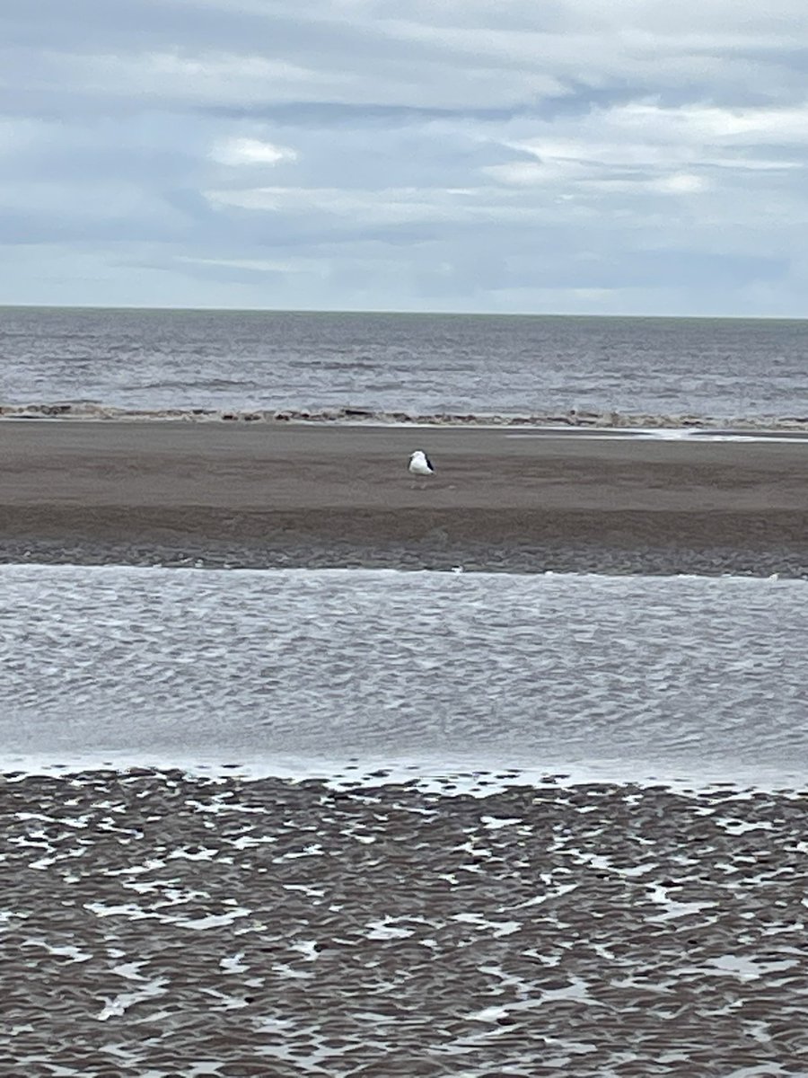 Never a bad time to visit #FormbyBeach