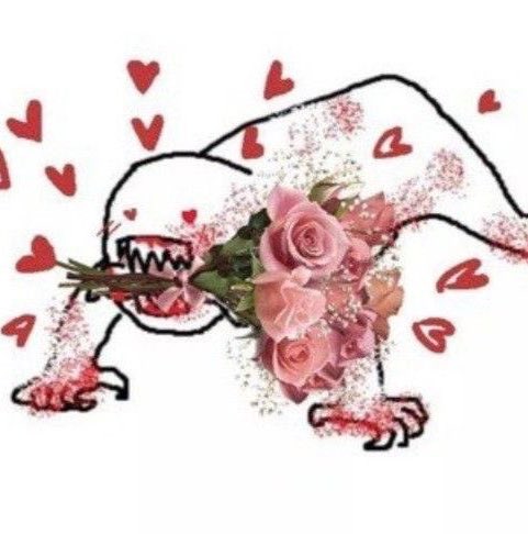 blü ☽ tweet media