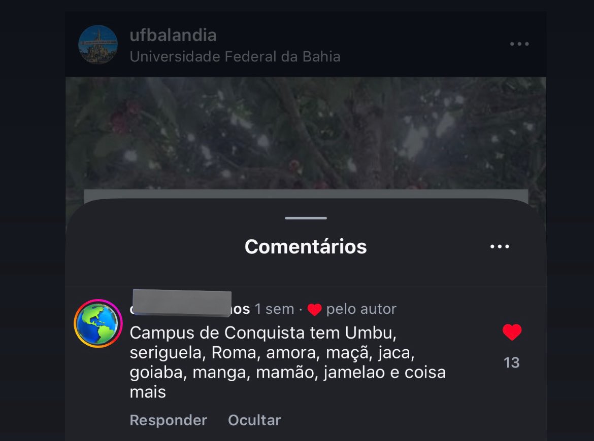 Ufbalândia tweet media