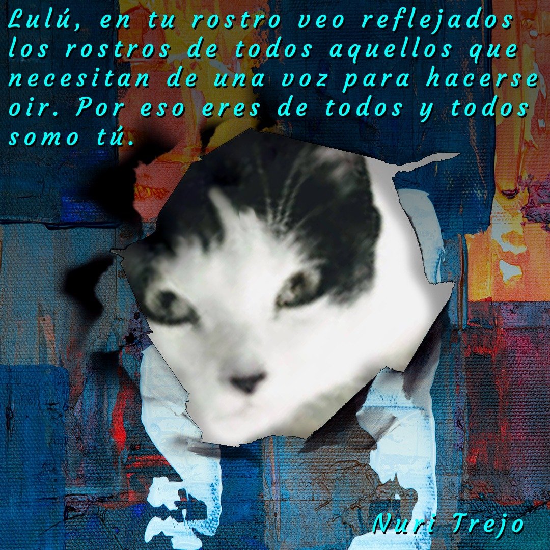 NuriTrejo's tweet photo. #31Ene. #LaHoraX de #LuluSomosTodos. Me inspiras a continuar. Abriste mis ojos a la realidad, al maltrato que tantos reciben. Donde la compasión parece no existir porque la indiferencia es una ceguera voluntaria, hacen falta voces y acciones. #Seguimos! https://t.co/db2ZyTWRQC