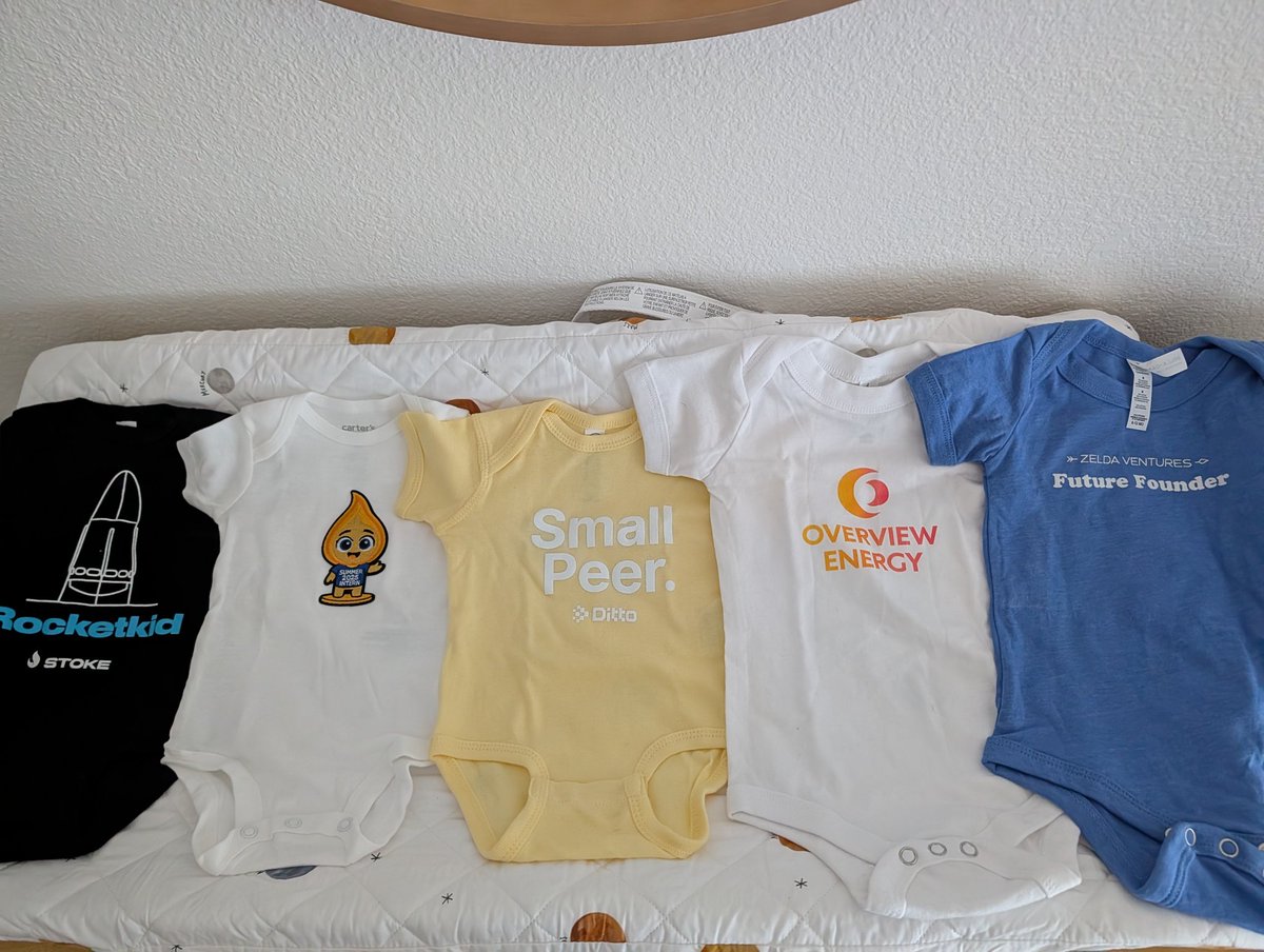 lizvstein tweet media