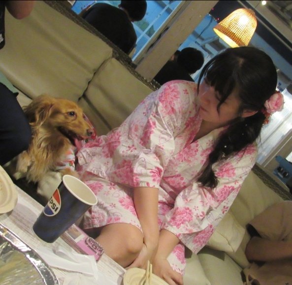 ごぶたん //GOB'Ü' 🐶🍓🍮❤️‍🔥 tweet media