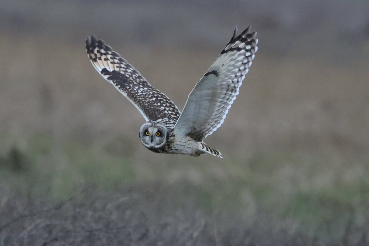 Patrick Earith tweet media