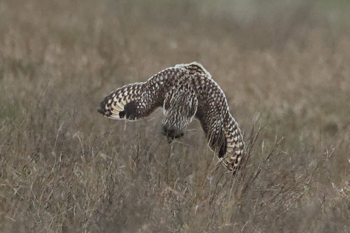 Patrick Earith tweet media