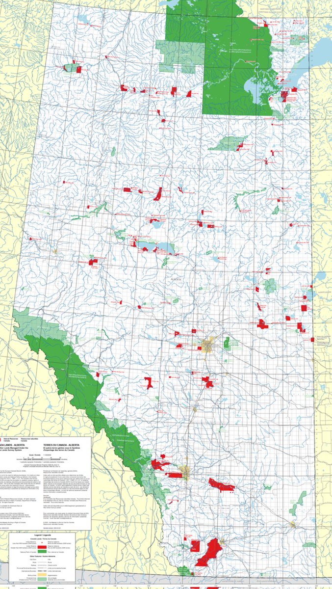 rotti Robbie tweet media