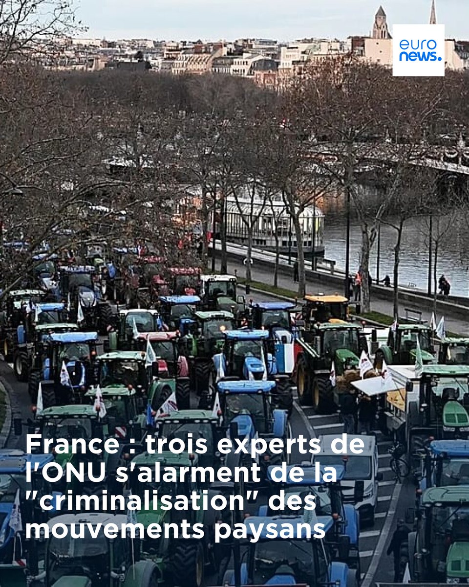 euronews en français tweet media