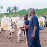 Photo by Ibrahim Adejuwon Odumboni (@IOdumboni)