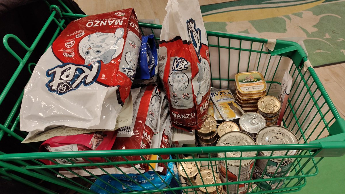 TwtFabAgain's tweet image. Oggi #RaccoltaAlimentare per #randagi:
un grazie enorme a chiunque sia passato dall' #isoladeitesori e mi abbia dedicato attenzione
Mi sembra sempre di non fare abbastanza e di esser solo.
In giorni cosí mi accorgo di non esserlo ♥️
Miao e bau ringraziano
#coloniefeline #canili