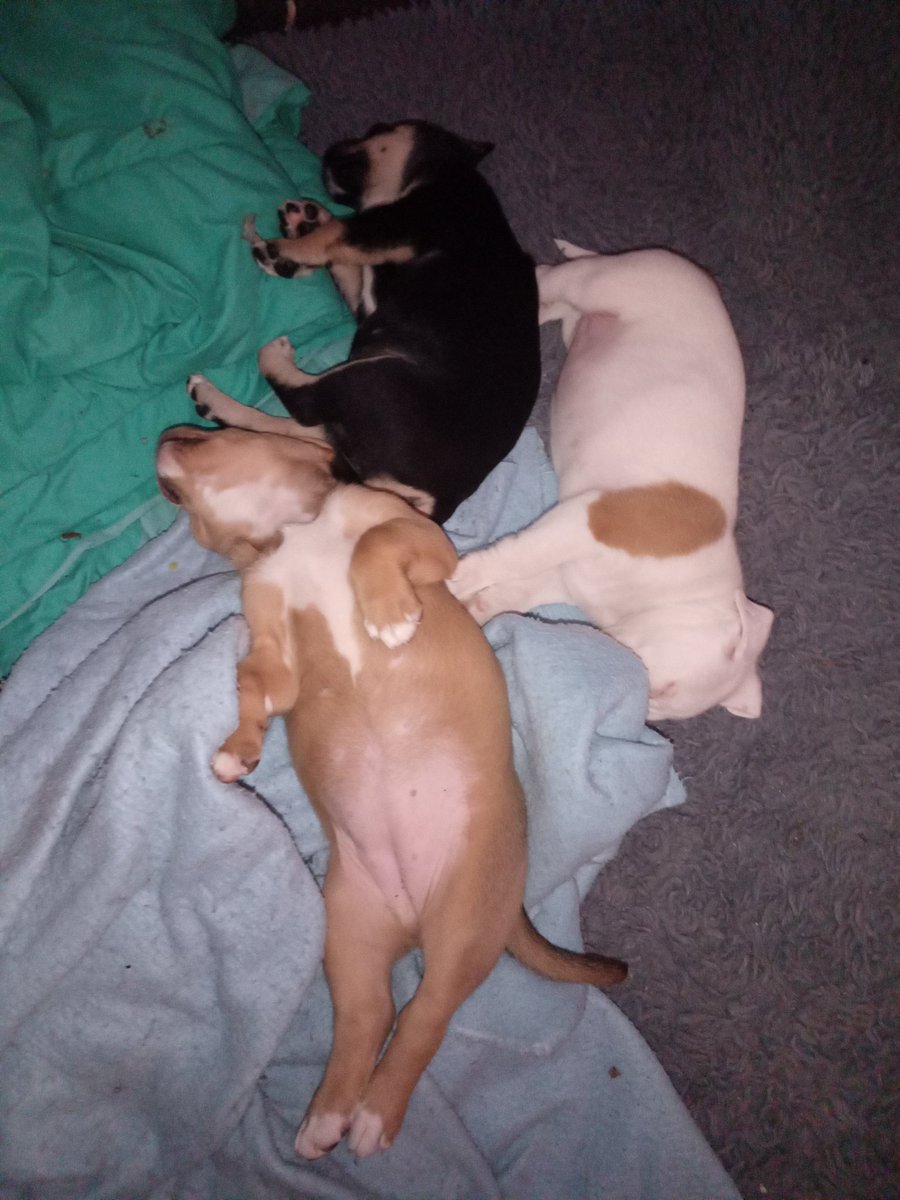 The white one is the one I'm keeping but I work way to much for all 6 😂