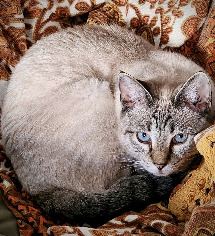 TheRealThelmaJohnson tweet media