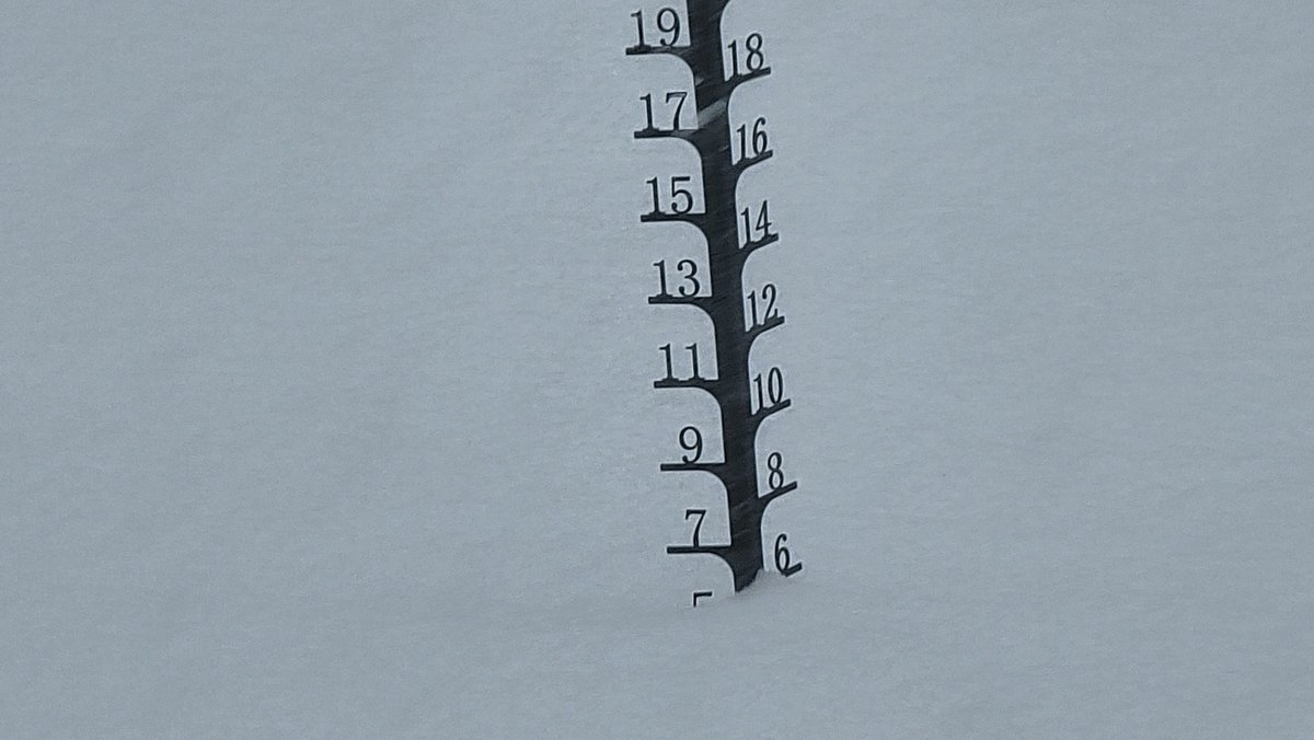 c150flyer's tweet photo. 7 miles south of Lexington update 12:50pm.
5" of snow (was already 1" of ice)
Nearly 2"/hour snowfall rate
Temp: 17.1°F
@NWSRaleigh @TimBuckleyWX @DylanHudlerWXII @GMengel 
#ncwx #snOMG https://t.co/rDG1fhluYQ