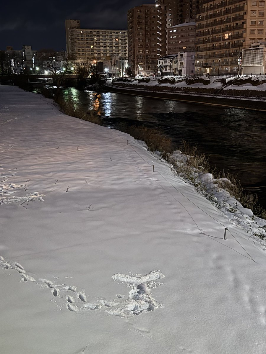 yoshisadaG's tweet image. 誰かはしゃいだ人おる