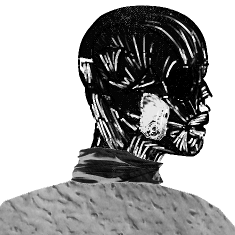 emptycollective tweet media