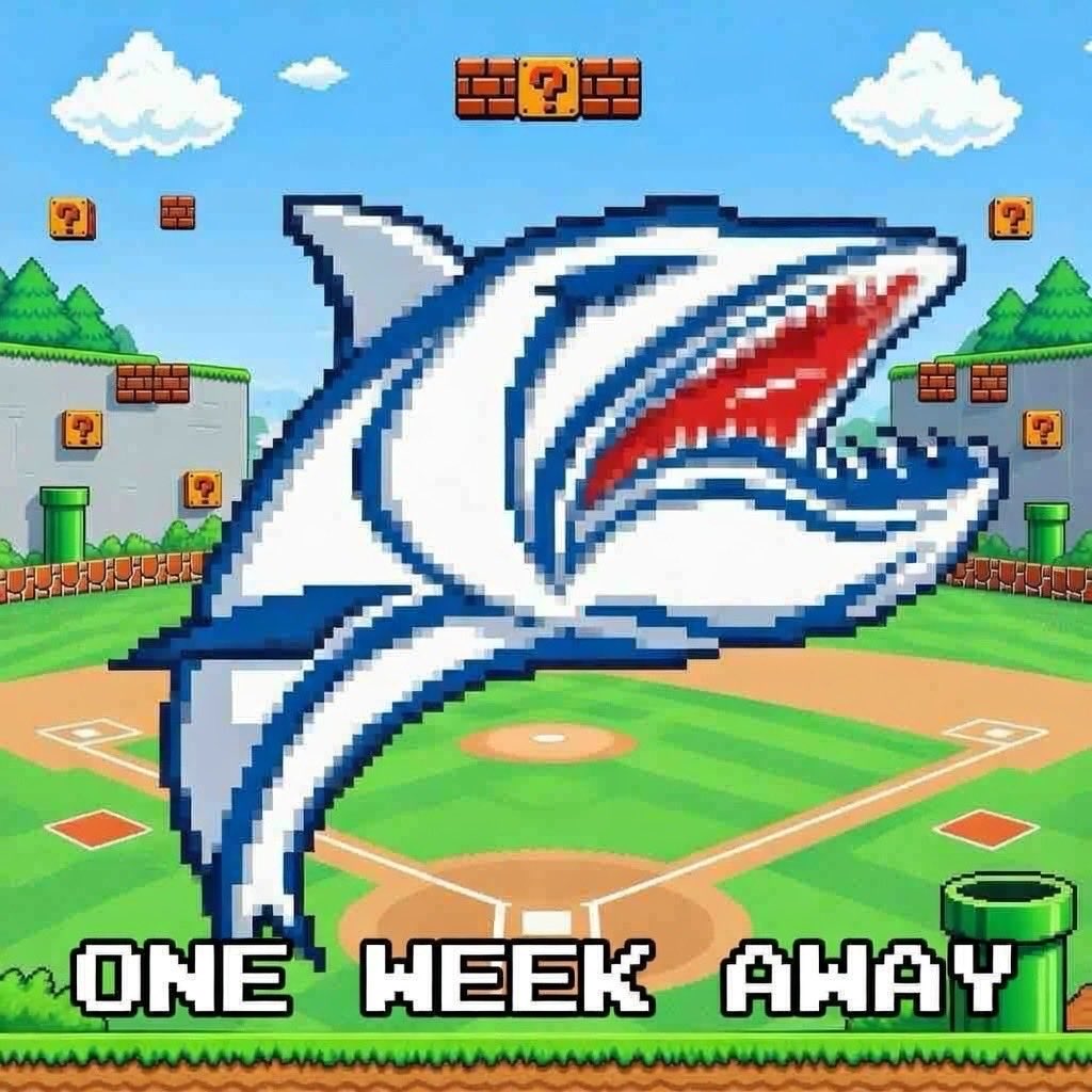 Muskies Baseball tweet media