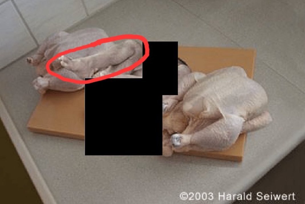 bldo que bizarro se estan poniendo los archivos epstein