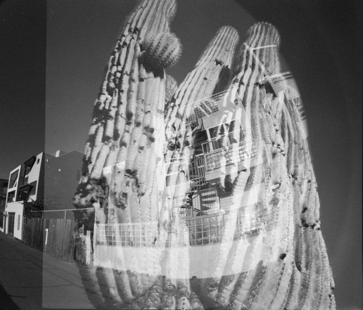 Art of the Day! "Saguaro,AZ+Snta Monica, Fisheye lens". Buy at: ArtPal.com/jewelsartphoto…