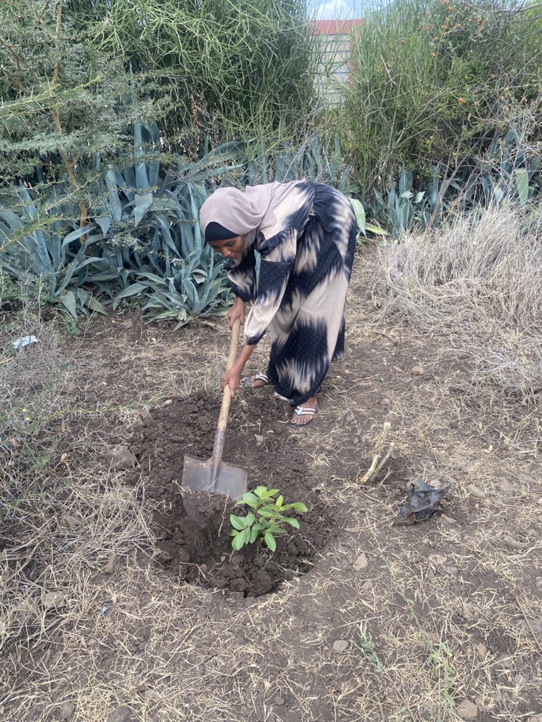 Root Hope tweet media