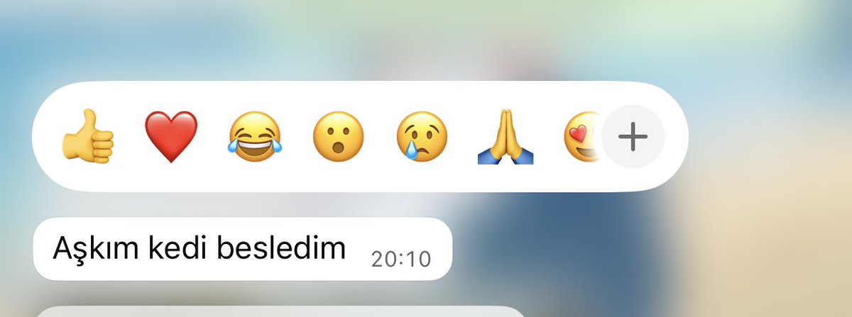 seni seviyorum demese de olur