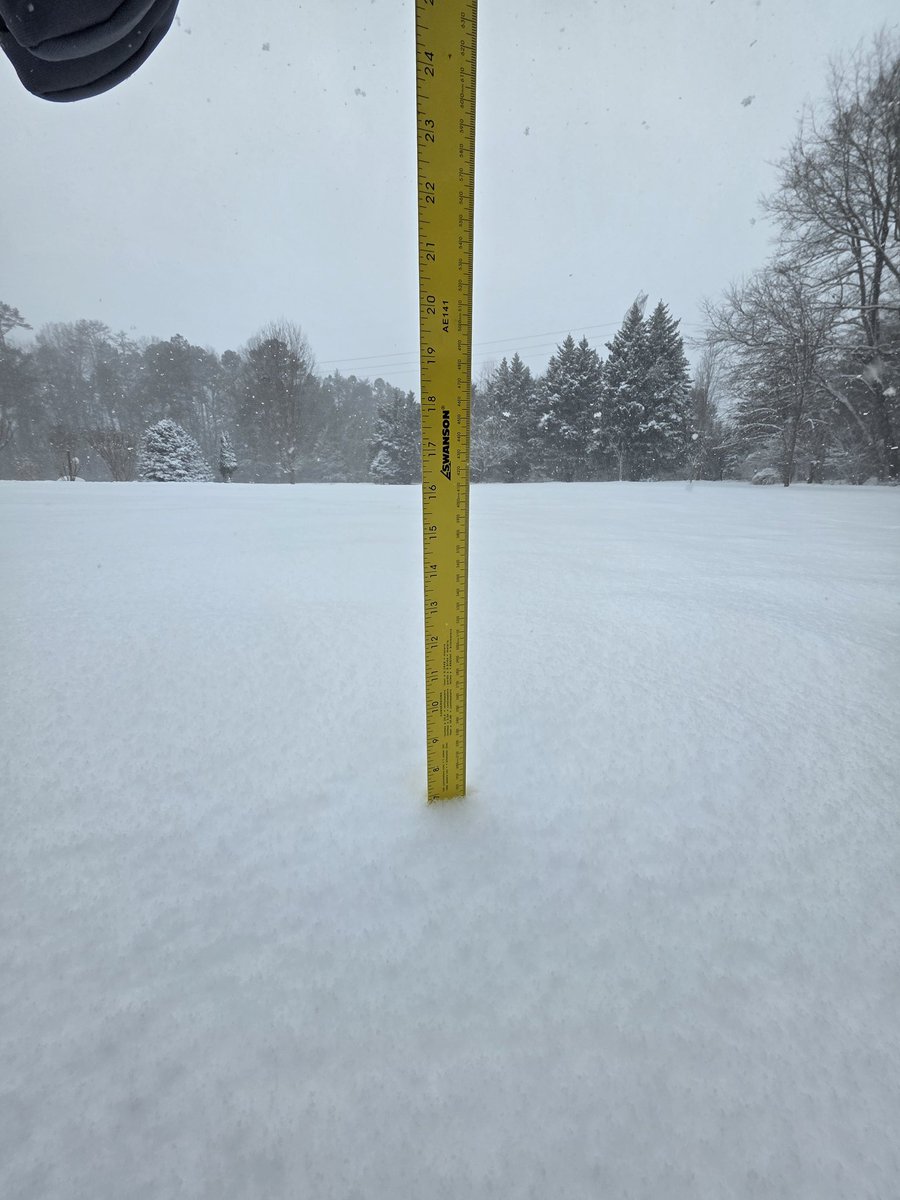 Michael Wheeler tweet media