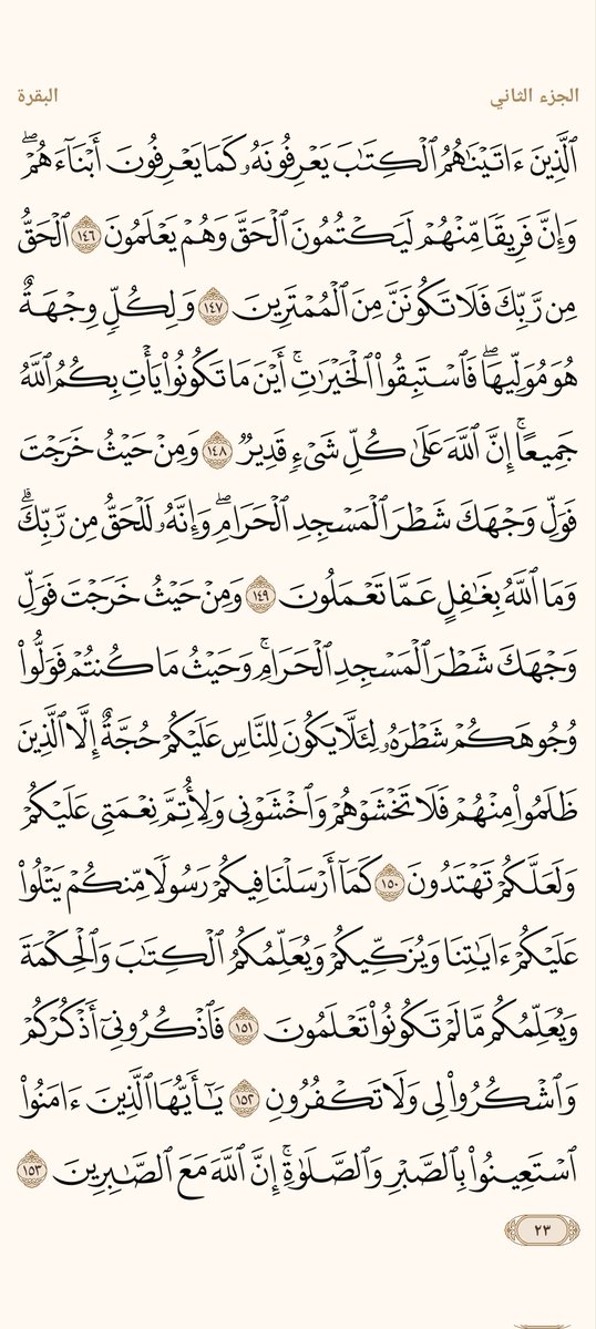 ْمحمد علام tweet media