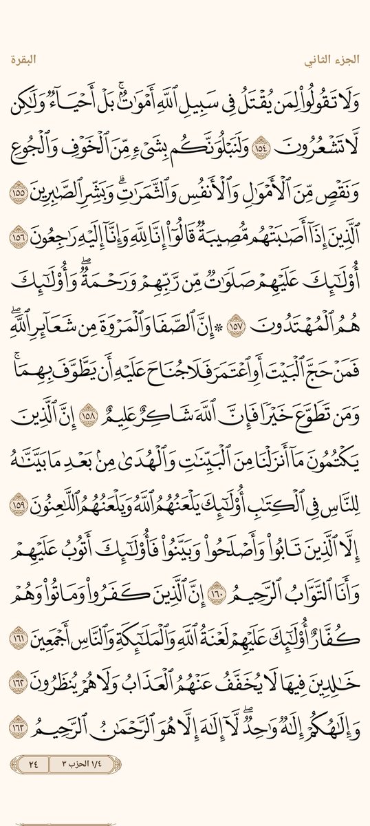 ْمحمد علام tweet media