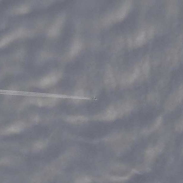 Don Pettit tweet media