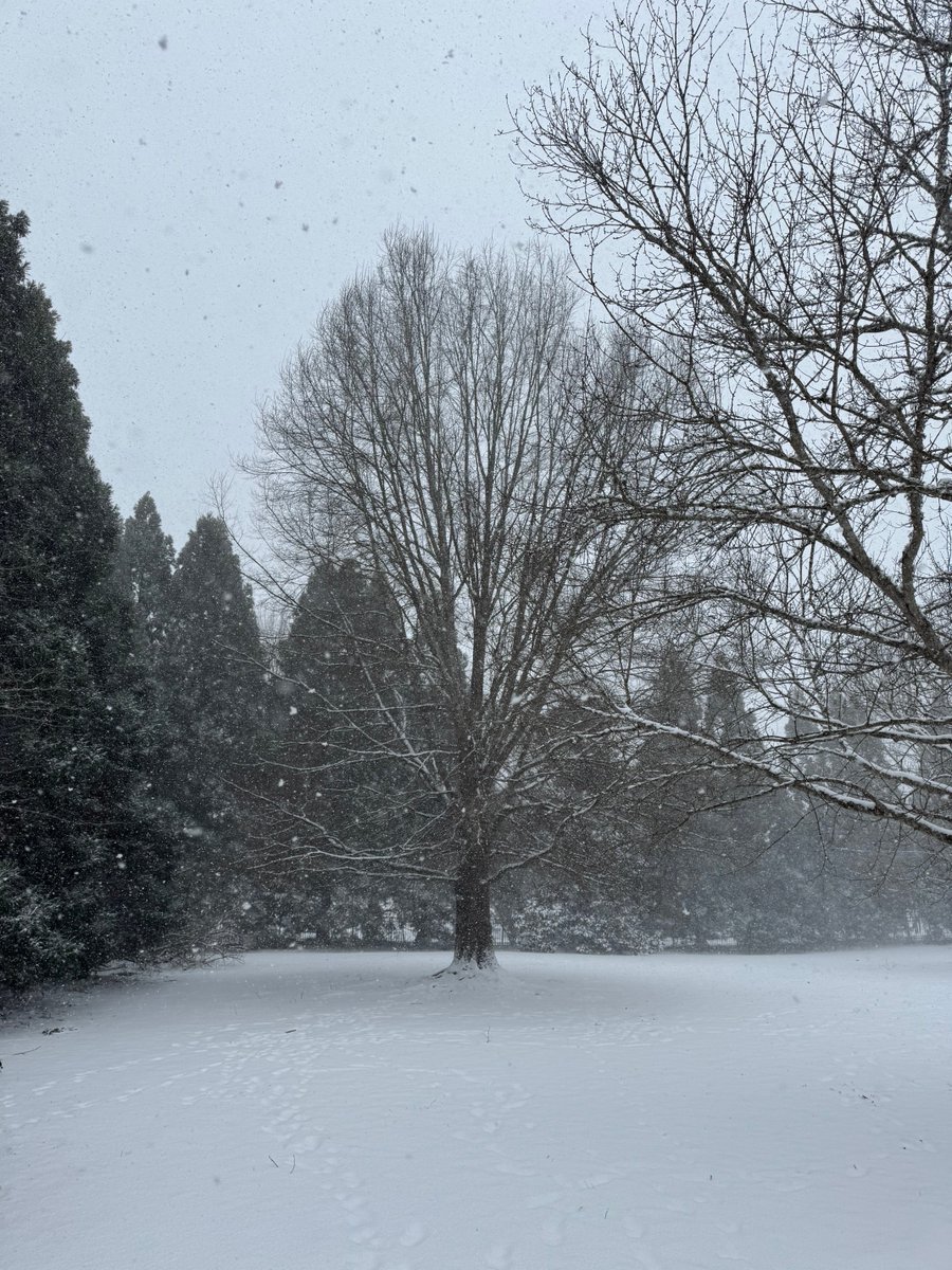 Why do we put infinitely more value on the ability to entertain us than the ability to save our lives?