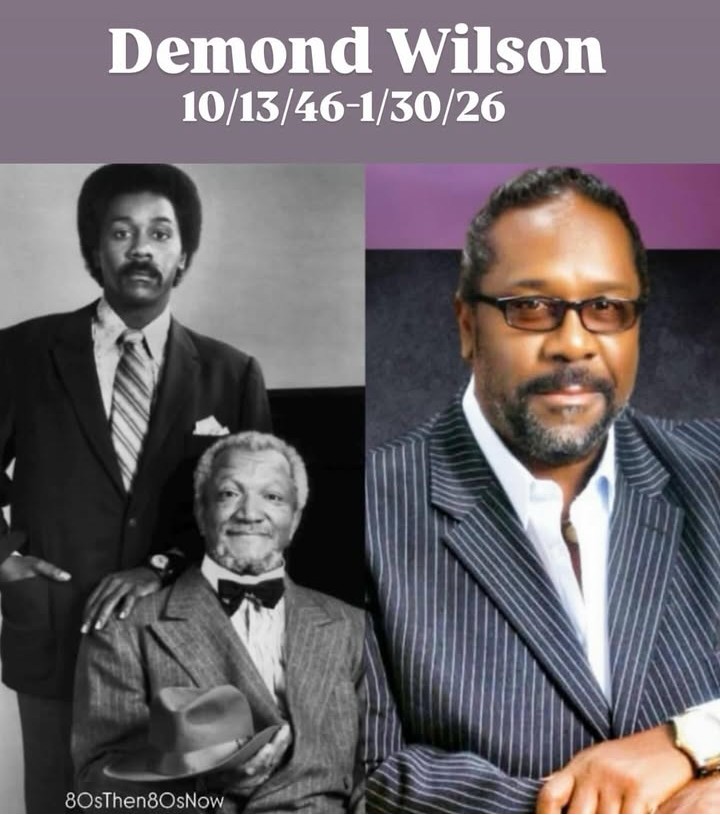 Hollywood Horror Museum tweet media