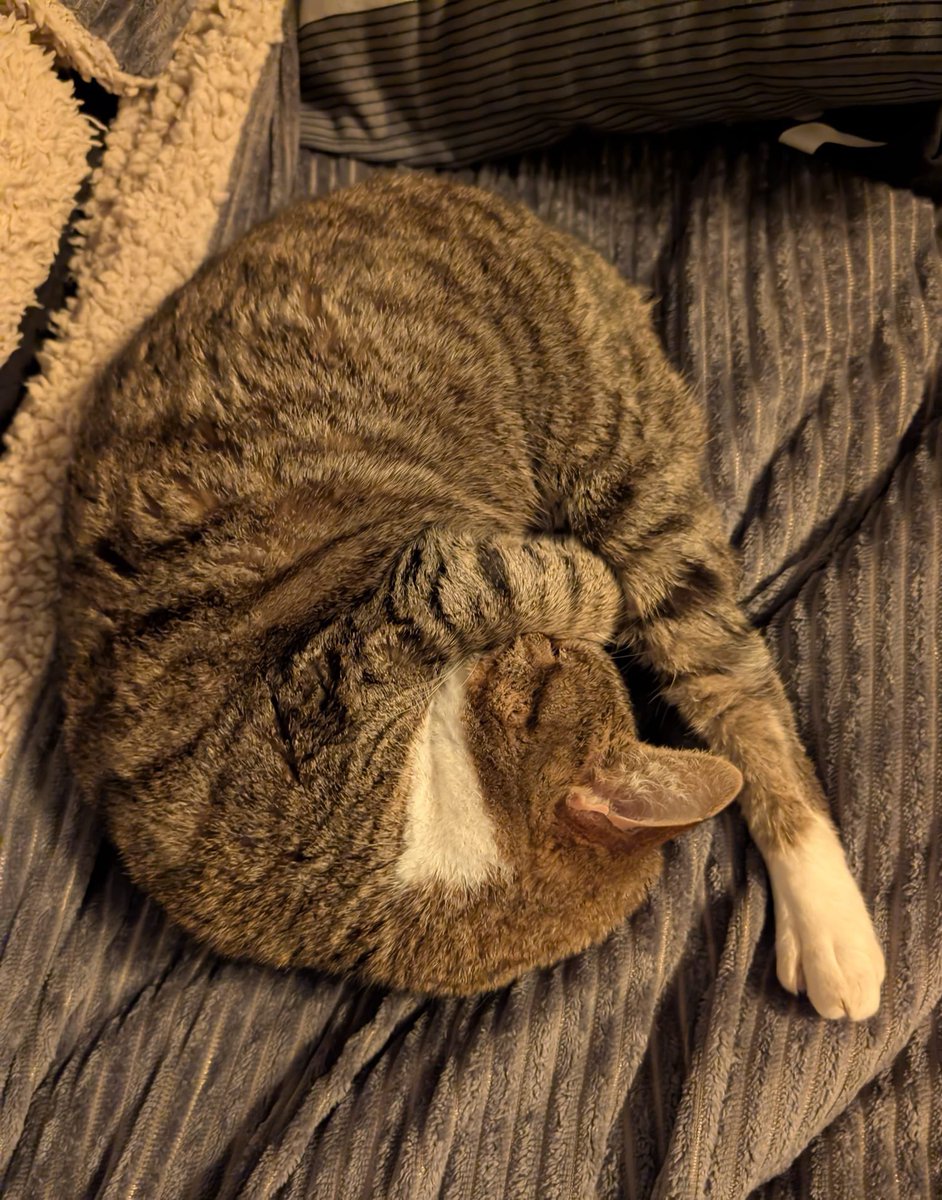 Lou_Wi's tweet photo. @SusanCalman Bonus Marge pictures! https://t.co/J8giFQ5g2V