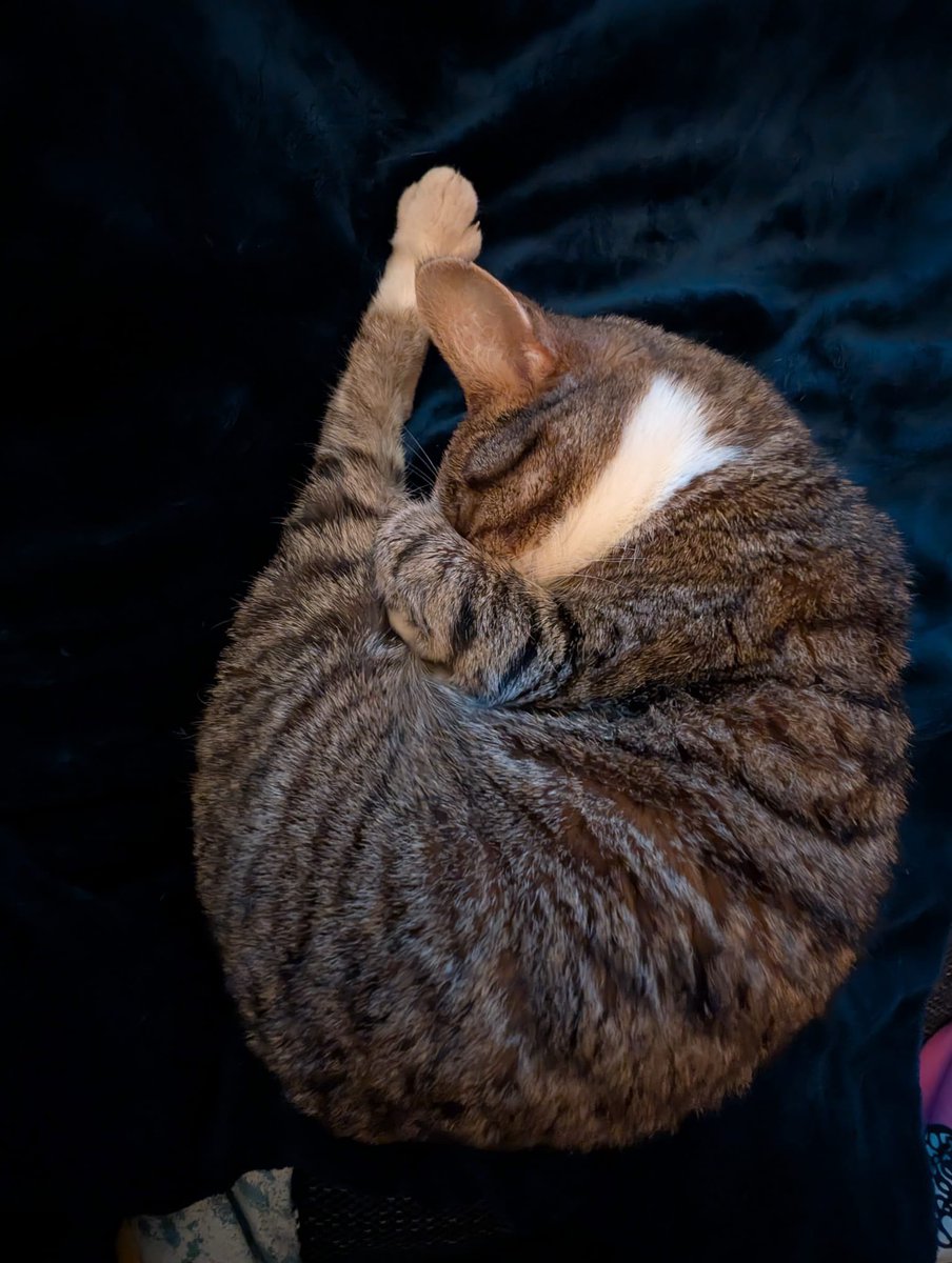 Lou_Wi's tweet photo. @SusanCalman Bonus Marge pictures! https://t.co/J8giFQ5g2V