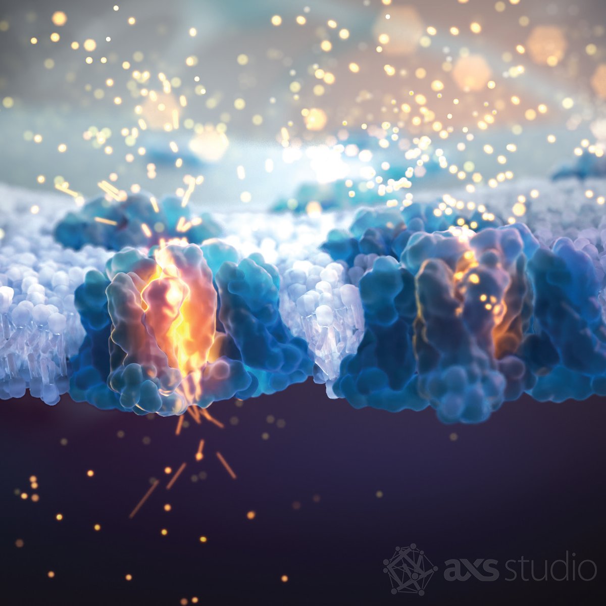 axs_studio's tweet image. Like a lit-fuse, voltage-gated sodium channels propagate electrical signals along a neuron membrane in our January 2026 calendar image.

Our team is ready to tell your science stories. 
🧫 axs3d.com/contact-us 
#neuroscience #medcomms #PainManagement