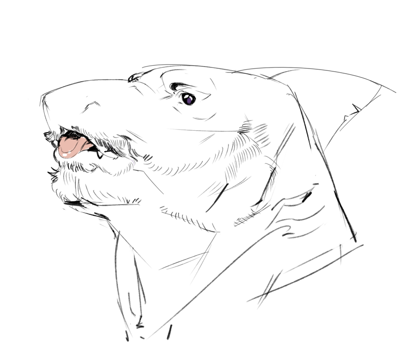 Shorkscribbles - Commissions Closed tweet media