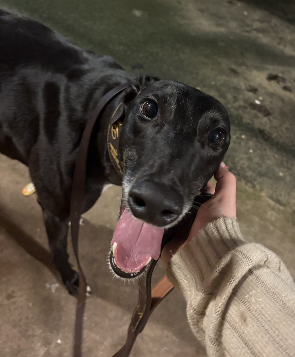 Mark Wallis tweet media