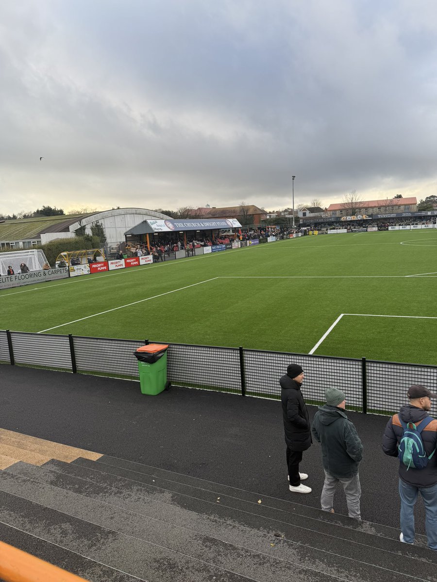 Shepps 🐝 tweet media