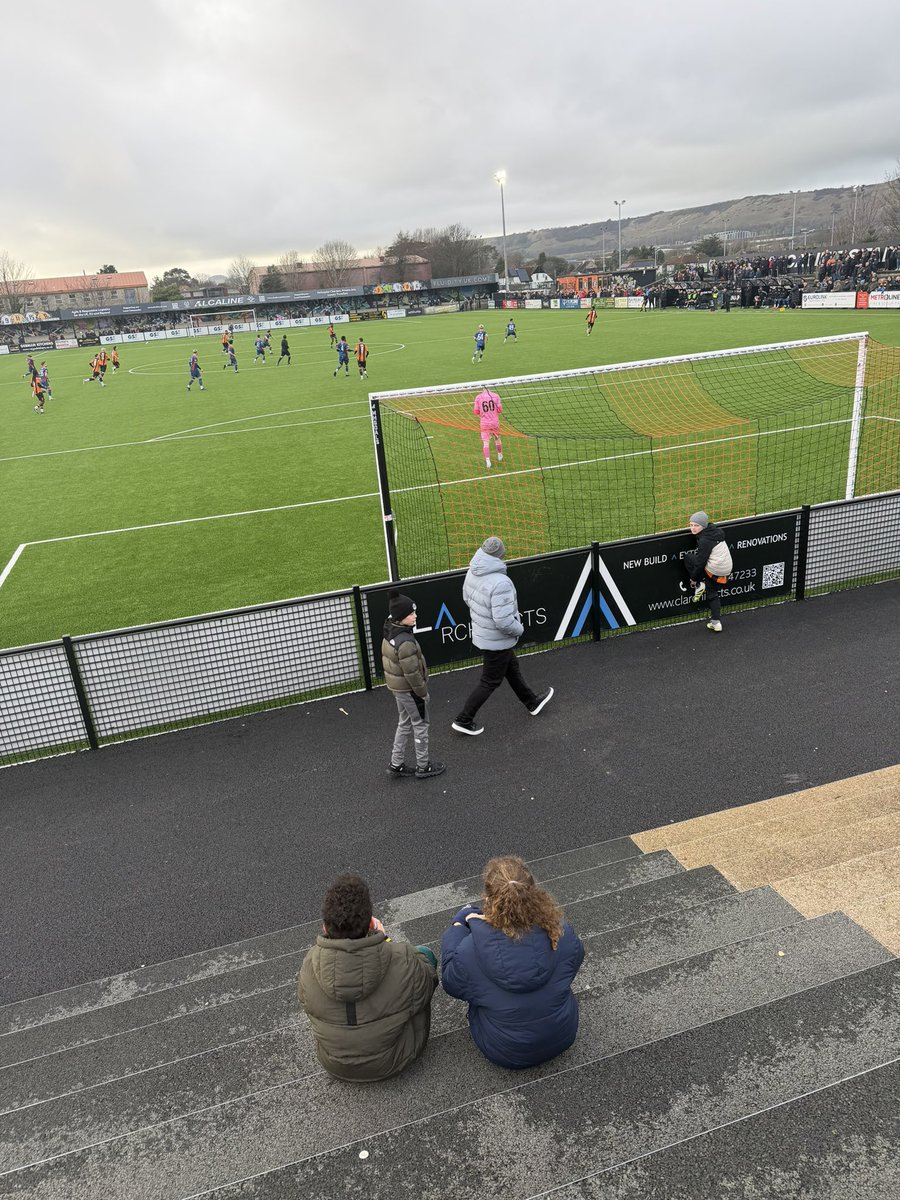 Shepps 🐝 tweet media